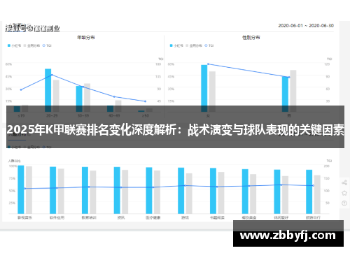 2025年K甲联赛排名变化深度解析:战术演变与球队表现的关键因素 2025年K甲联赛排名变化深度解析:战术演变与球队表现的关键因素
